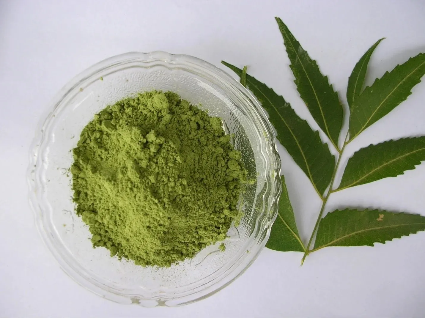 Why Global Buyers Choose India for Premium Neem Leaves Powder Exports