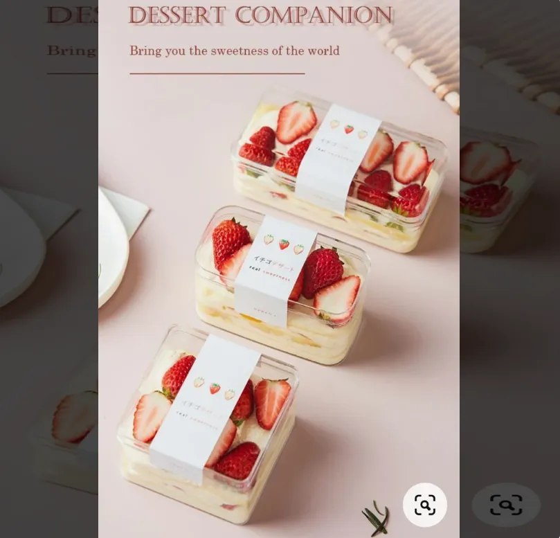 Dessert Box Suppliers In Vadodara