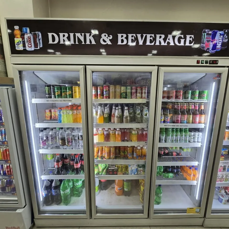 Supermarket 3 door Vertical freezer with 2 compressor