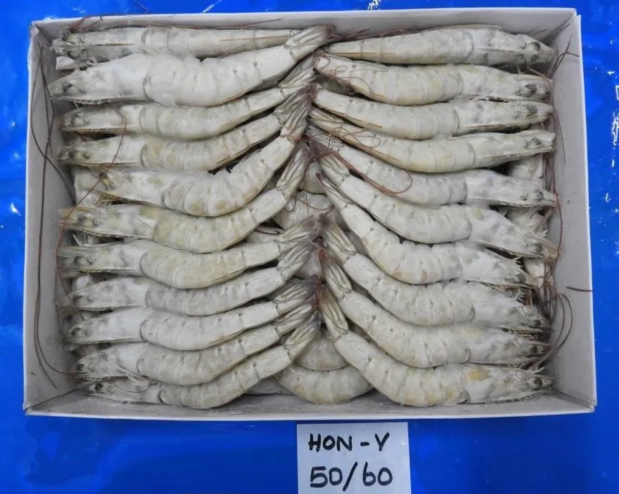 Head on vannamei shrimps 50/60