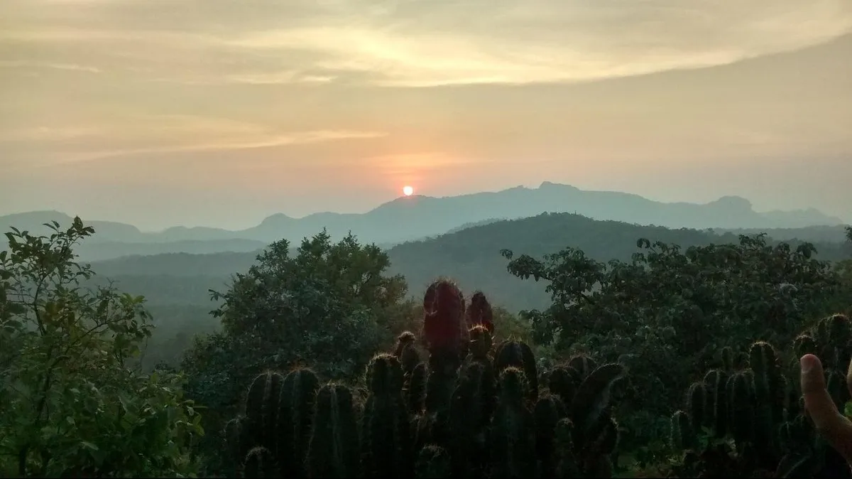 Places To Visit In Pachmarhi
Satpura National Park
Satpura National Park, Pachmarhi Overview
The ...