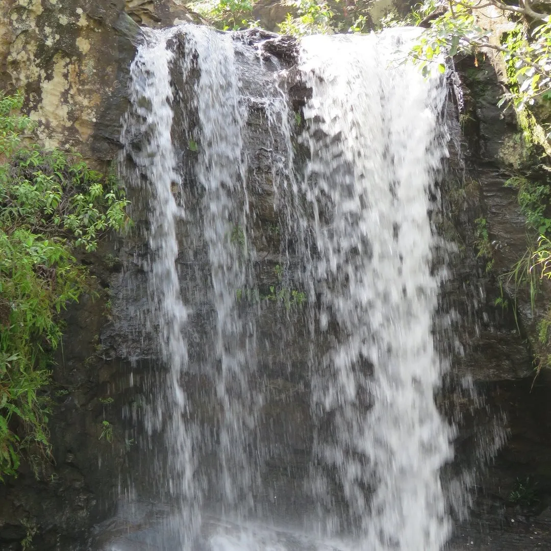 Places To Visit In Pachmarhi
Apsara Vihar
Apsara Vihar, Pachmarhi Overview
Deep inside the jungle...