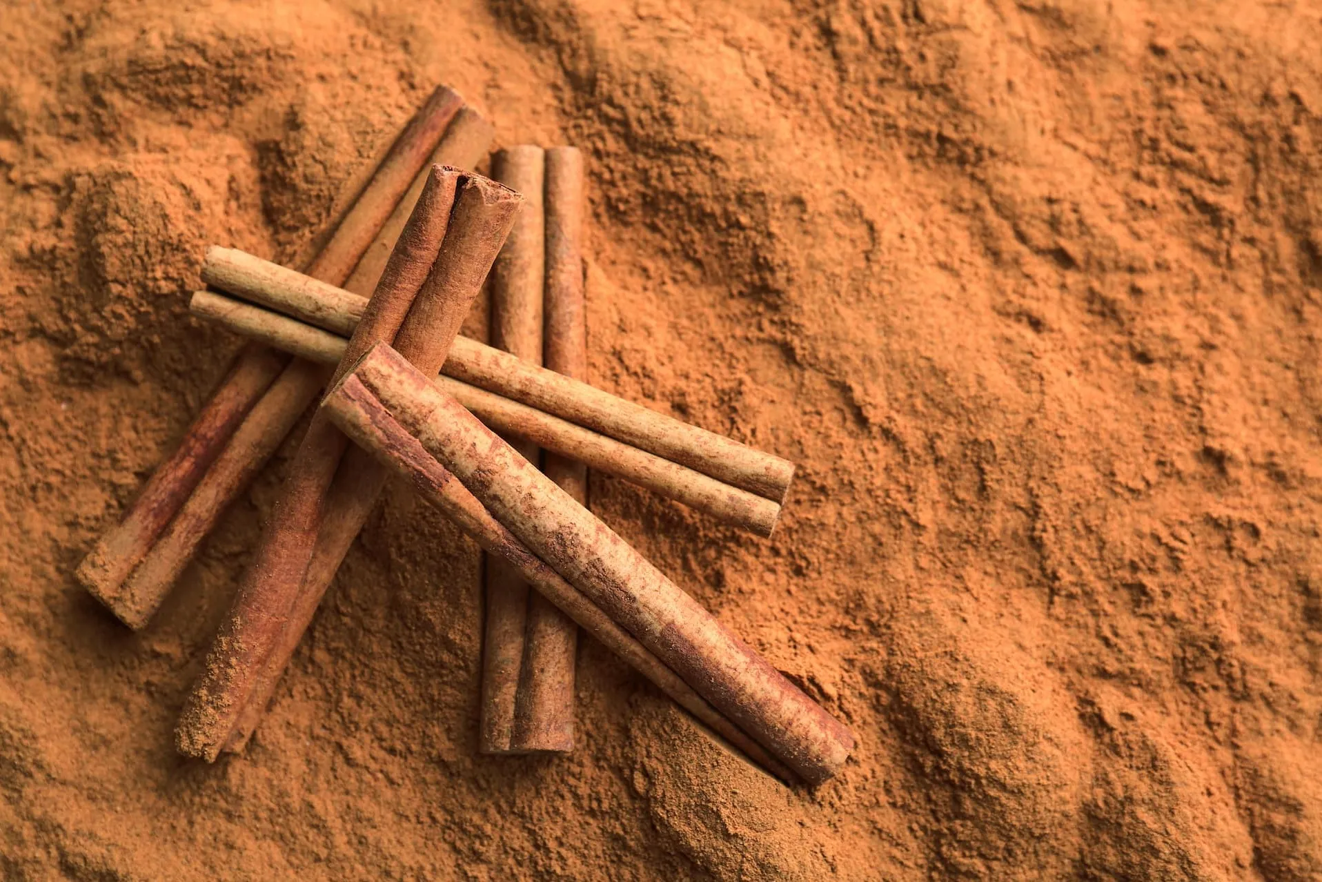 Cinnamon Powder Exporter from India and Bulk Cinnamon Powder Supplier - SS Overseas