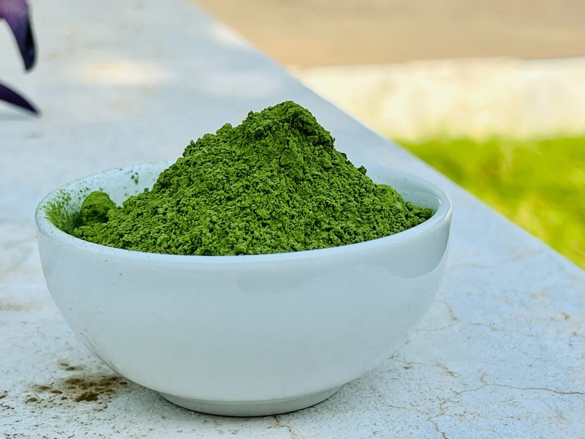 High Quality Best Moringa Powder Exporter from India | Bulk Supply - Global B2B Supplier