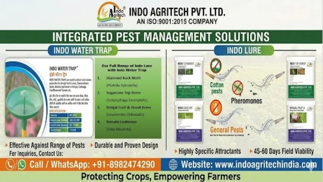 Benefits of INDO WATER TRAP + INDO LURE- ONE INDO IPM TOOL with FOUR INDO LURE
The combination ...
