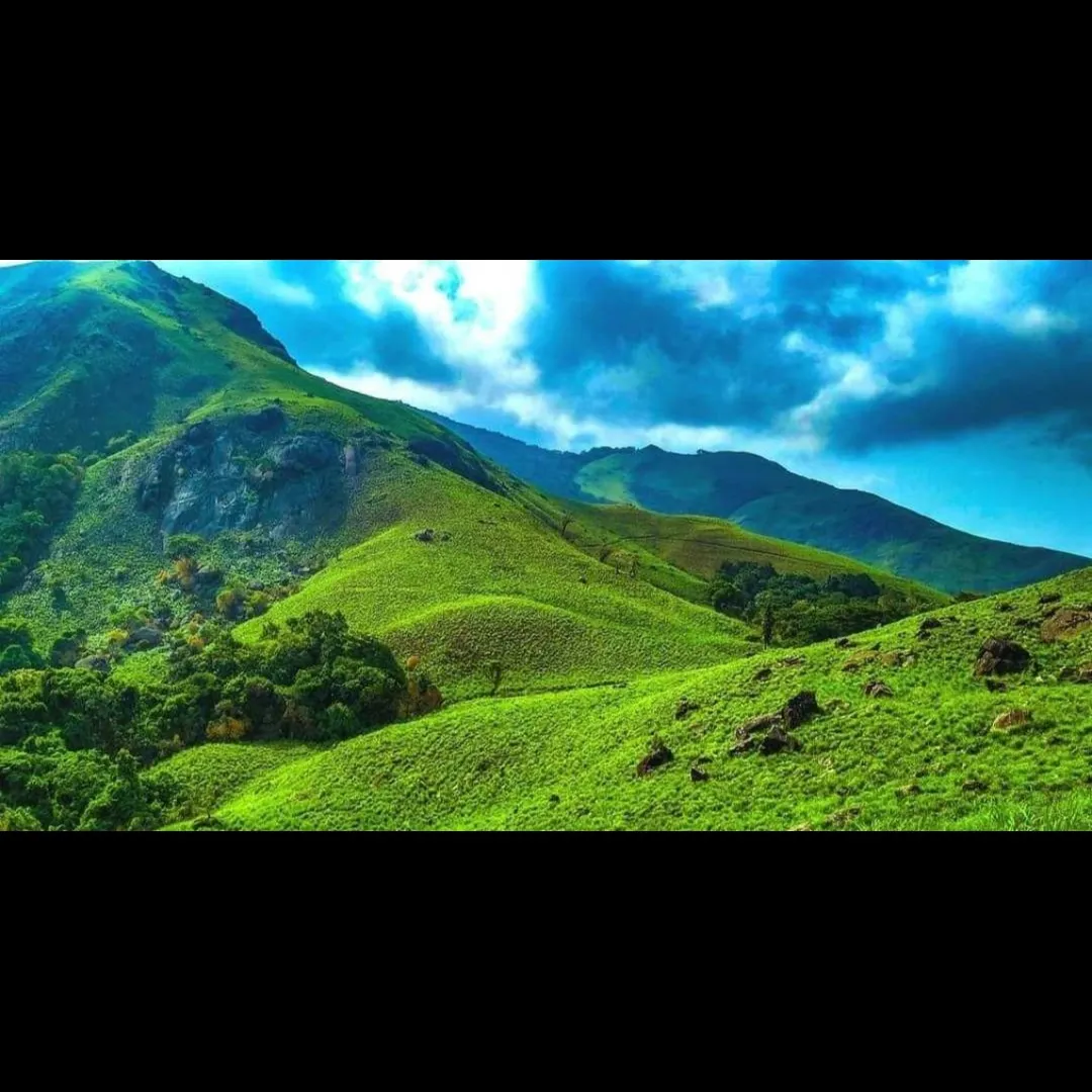 Tourist Places in Kerala
Kovalam
Kovalam Tourism
Famous for its resorts and ayurvedic massage ce...