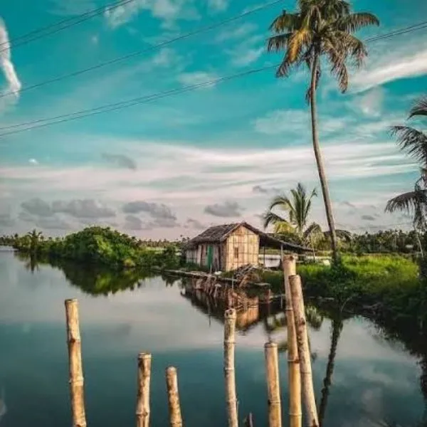 Tourist Places in Kerala
Kumbalangi
Kumbalangi Tourism
Kumbalangi is India’s first model ecotour...
