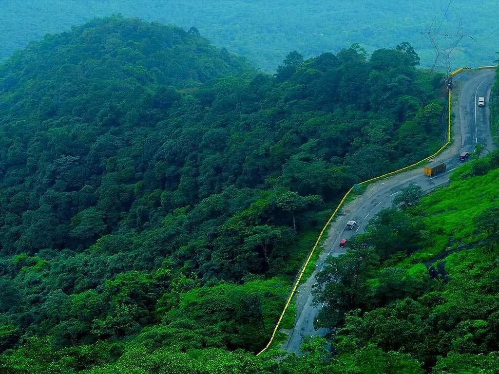 Tourist Places in Kerala
Kalpetta
Kalpetta Tourism
Kalpetta is a quaint town with a backdrop of ...