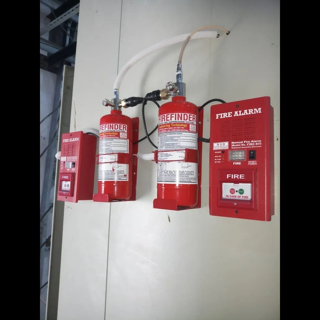 Fixed Clean Agent Fire System