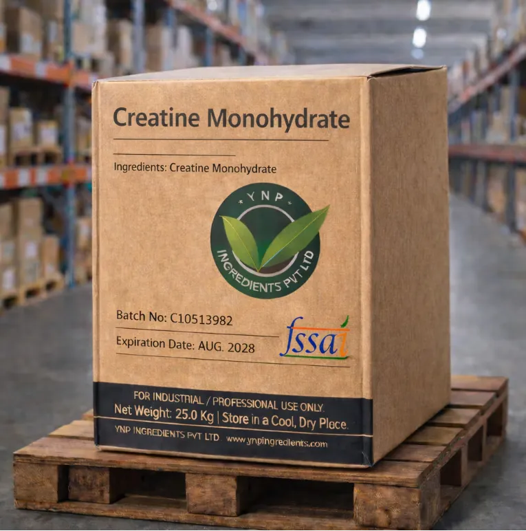 Creatine Monohydrate Micronized in Panipat – A Key Ingredient for Sports Nutrition Products