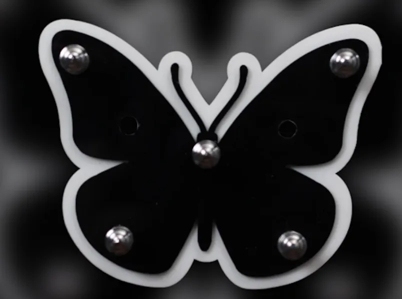 Acrylic Butterfly Key Stand in Gujarat