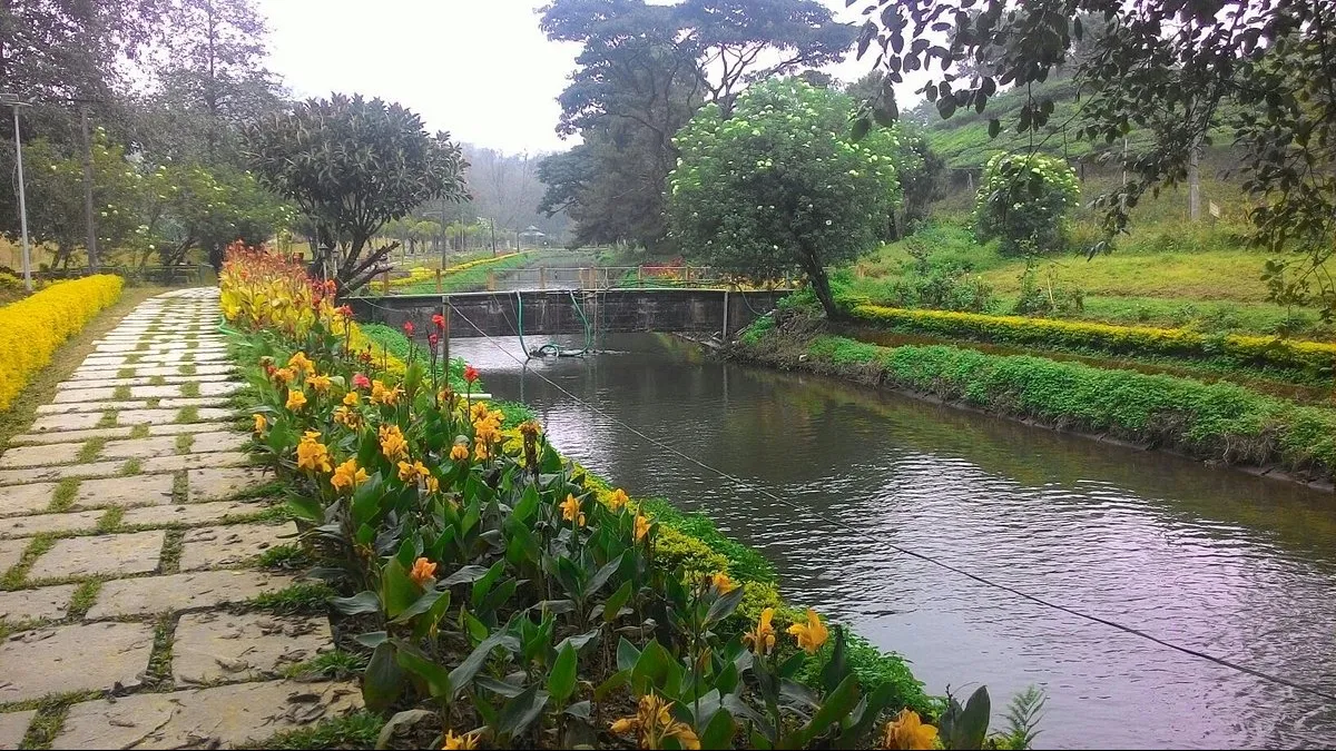 Top Things to do in Munnar
Blossom Park
Blossom Park, Munnar Overview
Blossom Park is a splendid ...