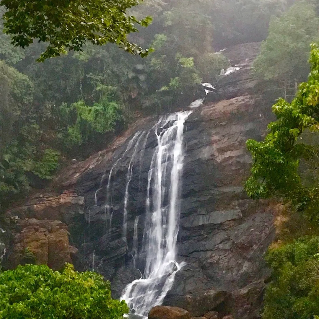 Top Things to do in Munnar
Chinnakanal Waterfalls
Chinnakanal Waterfalls, Munnar Overview
Flowing...
