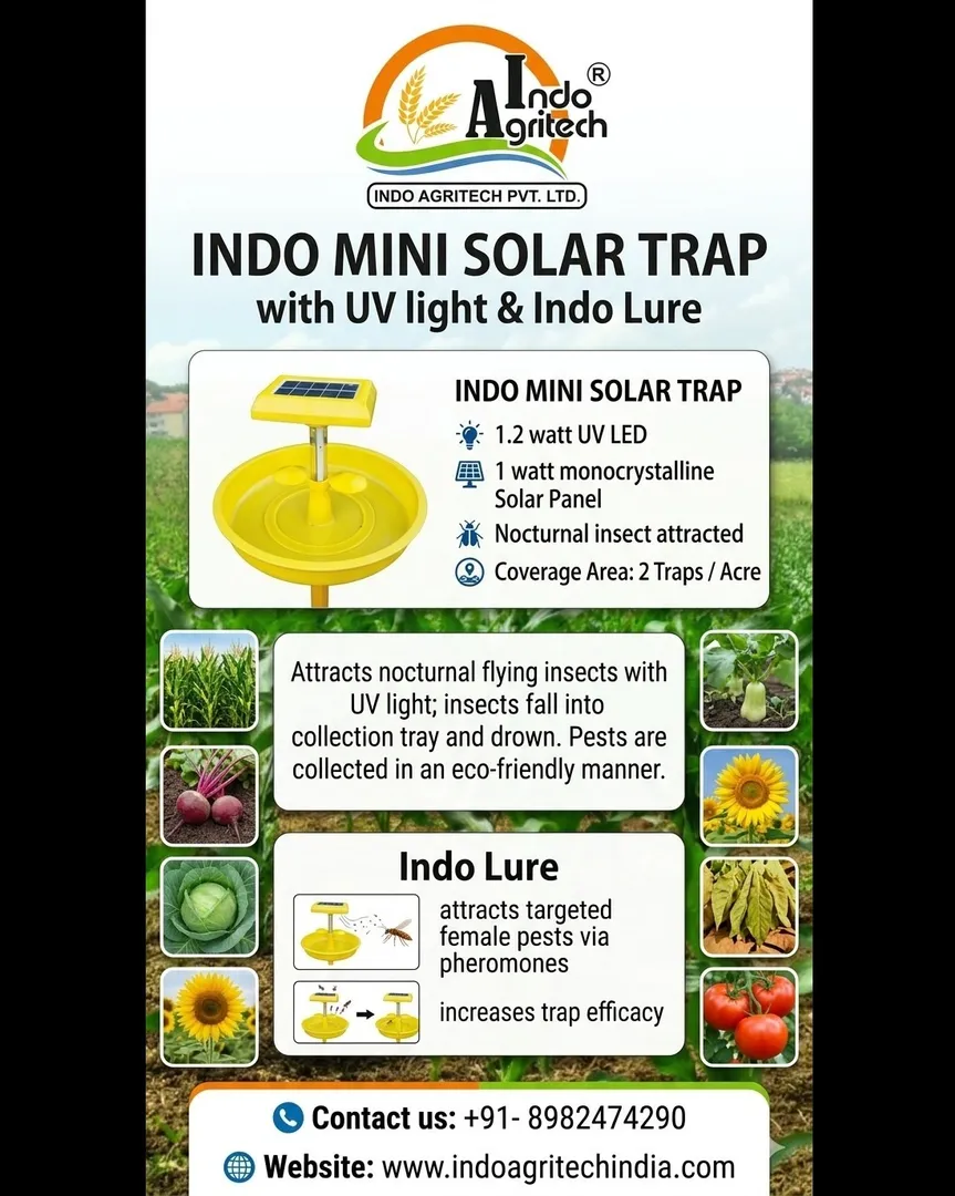 Indo Mini Solar Trap by Indo Agritech Pvt. Ltd 'Duo Function Design' DAY & NIGHT FULL PROTECTION
...