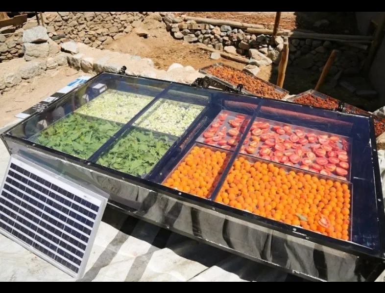 Solar Dryer Manufacturer in Pune, Maharashtra | Commercial & Industrial Solar Drying Solutions