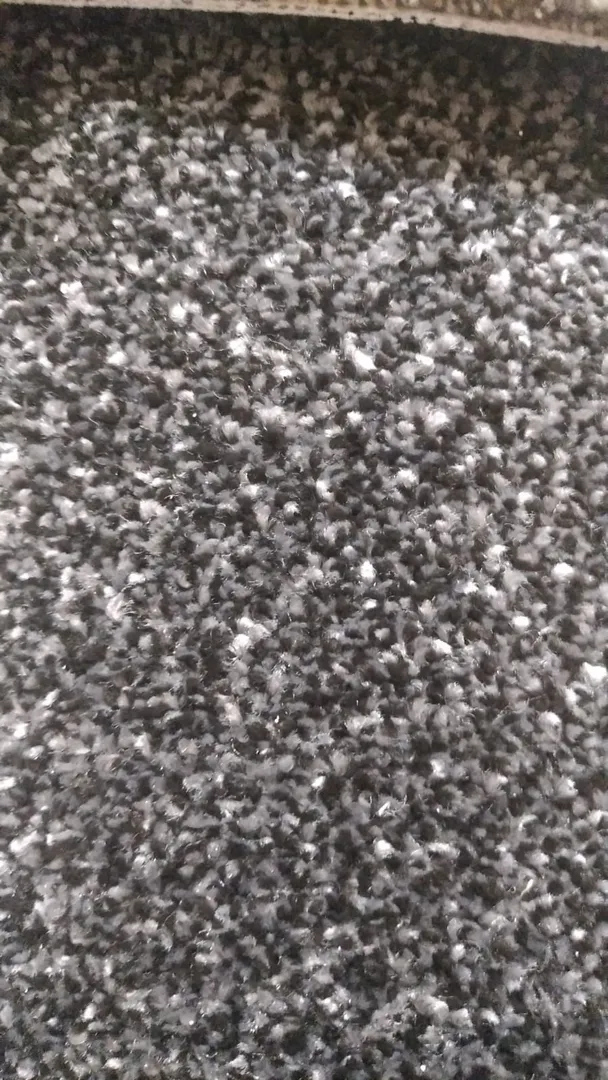 Best Wall to Wall Plain Cut pile Carpet Manufacturer, Trader, Dealer, Supplier We Panipat Carpets is...