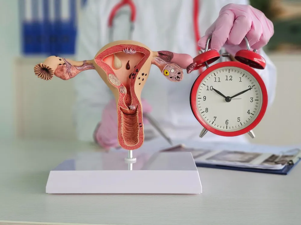 PCOS and Irregular Cycles in Vashi Women: Symptoms, Causes, and Long-Term Health Impact Explained