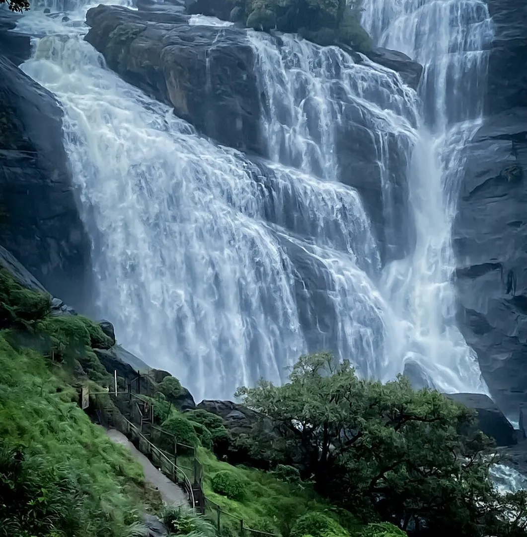 Places To Visit In Coorg
Mallalli Falls
Mallalli Falls, Coorg Overview
Mallalli Falls is a stunni...