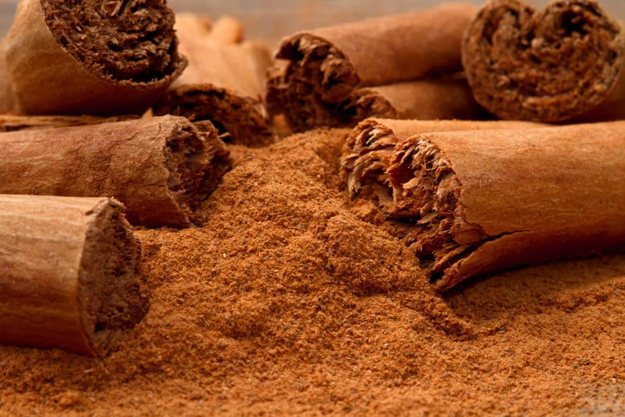 Cinnamon Powder Exporter India | Organic Bulk Spice Supplier | SS Overseas
