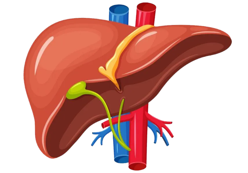 Dr Manoj Kolhe – Best Liver Specialist (Hepatologist) in Baner, Balewadi, Pune !