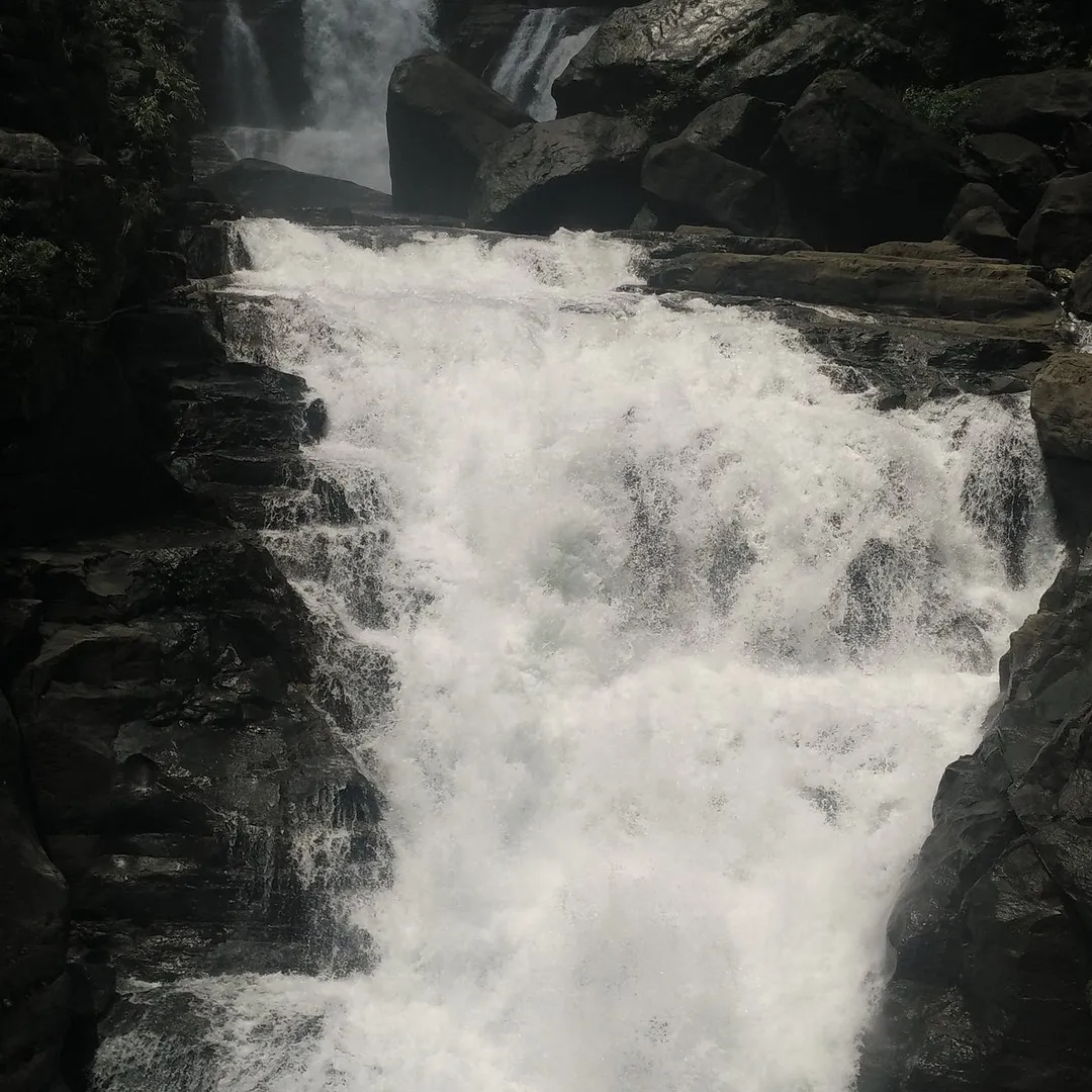 Tourist places in Meghalaya
Mawphlang
Mawphlang, Shillong Overview
Mawphlang, home to Meghalaya's...