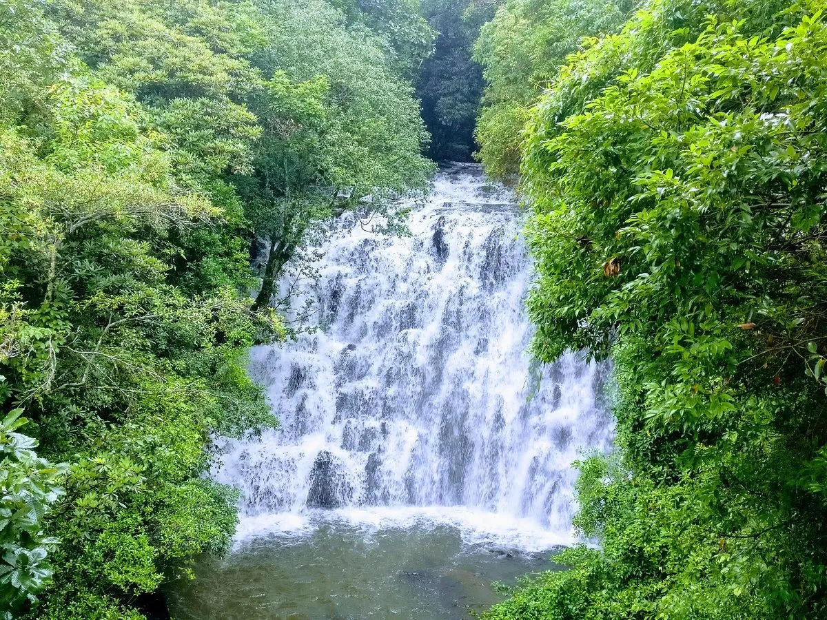 Tourist places in Meghalaya
Elephant Falls
Elephant Falls, Shillong Overview
Named after an Eleph...
