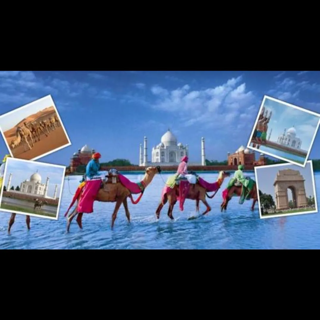 Your Trusted Travel Agency for Domestic & International Tour Packages In Indore