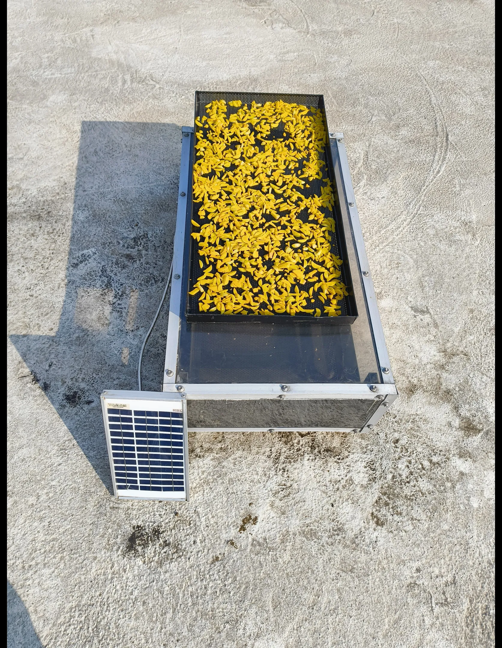 Commercial Solar Dryer for Turmeric, Grapes & Raisin Processing in Sangli, Maharashtra