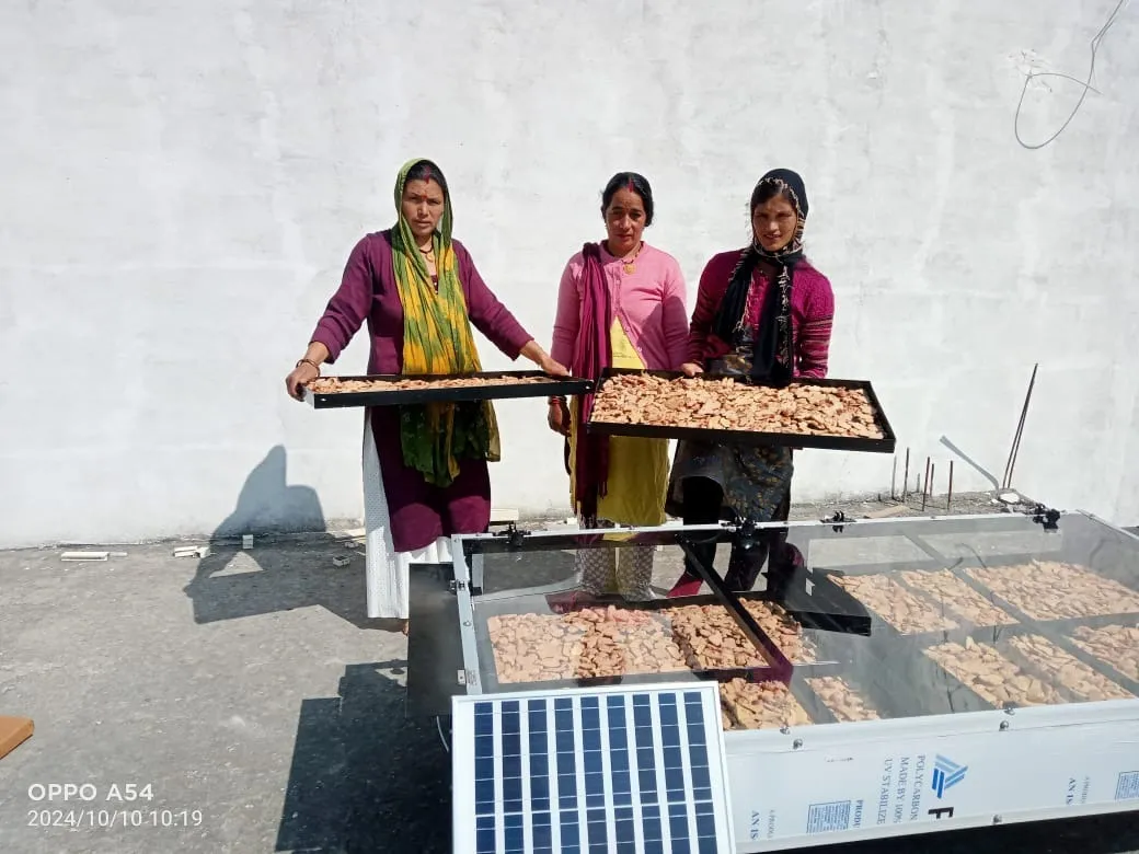Commercial Solar Dryer for Strawberry, Ginger & Herbal Crop Processing in Satara, Maharashtra