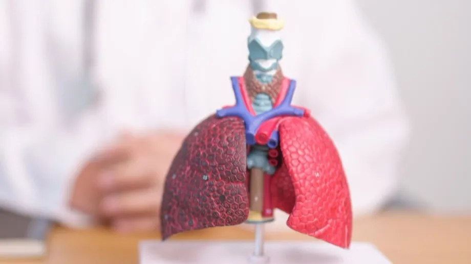Respiratory Specialist for Breathing Difficulty: Understanding the Causes of Shortness of Breath