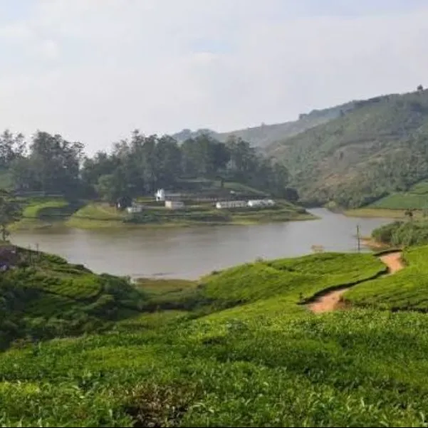 Tourist places in Tamil Nadu
Theni
Theni Tourism
Dotted by luscious patches of greenery and beaut...