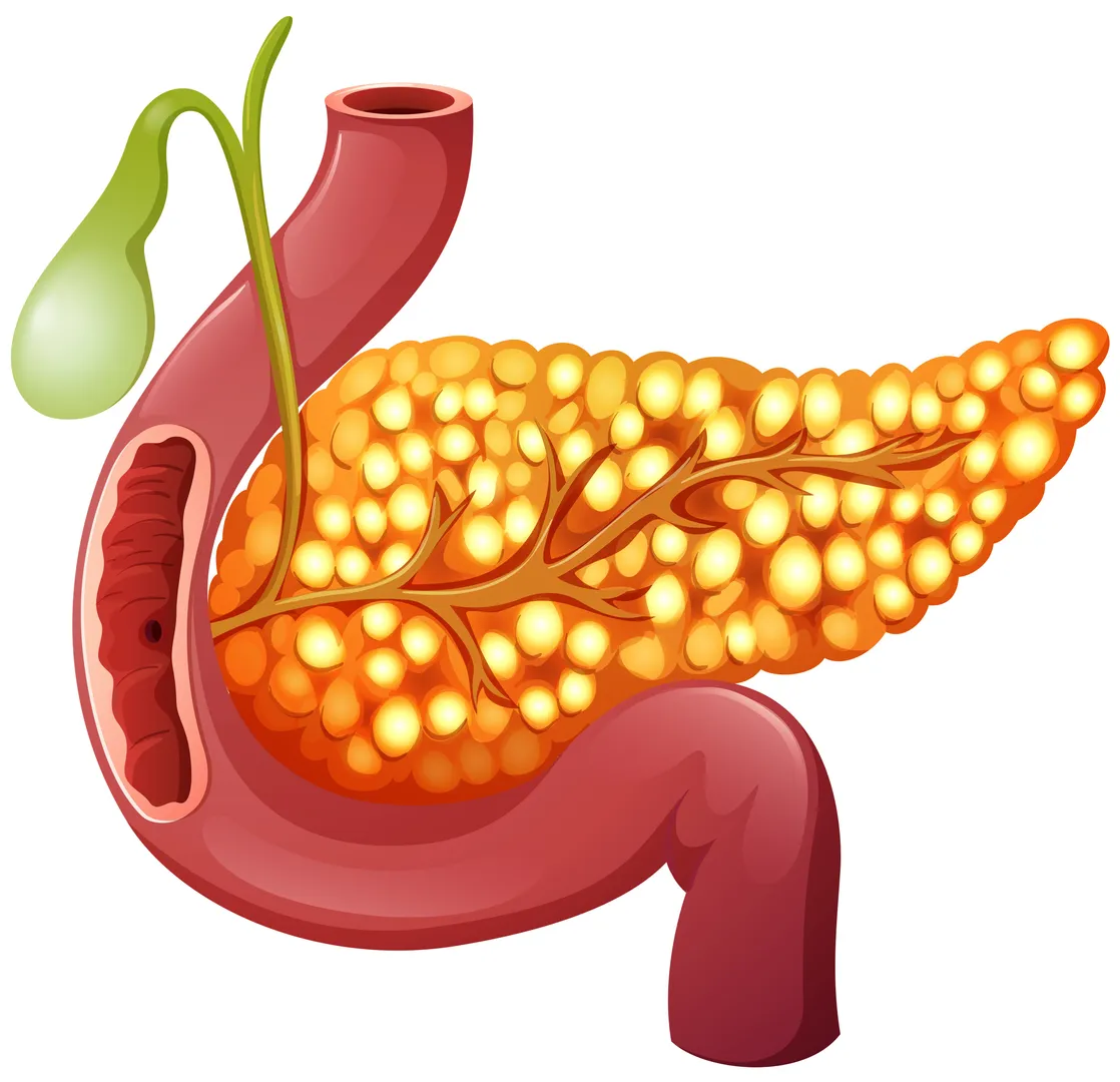 Pancreatitis Treatment Specialist in PCMC: Understanding the Causes, Symptoms, and Treatment Options