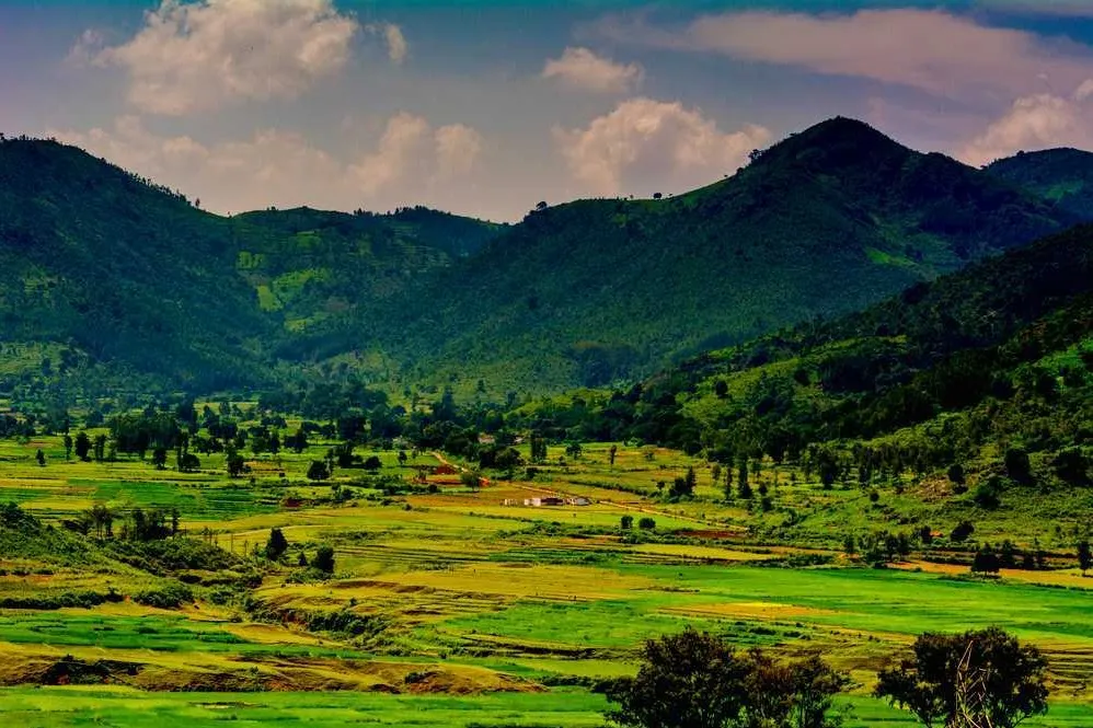 Tourist Places in Andhra Pradesh
Araku Valley
Araku Valley Tourism
Araku Valley is a comparative...