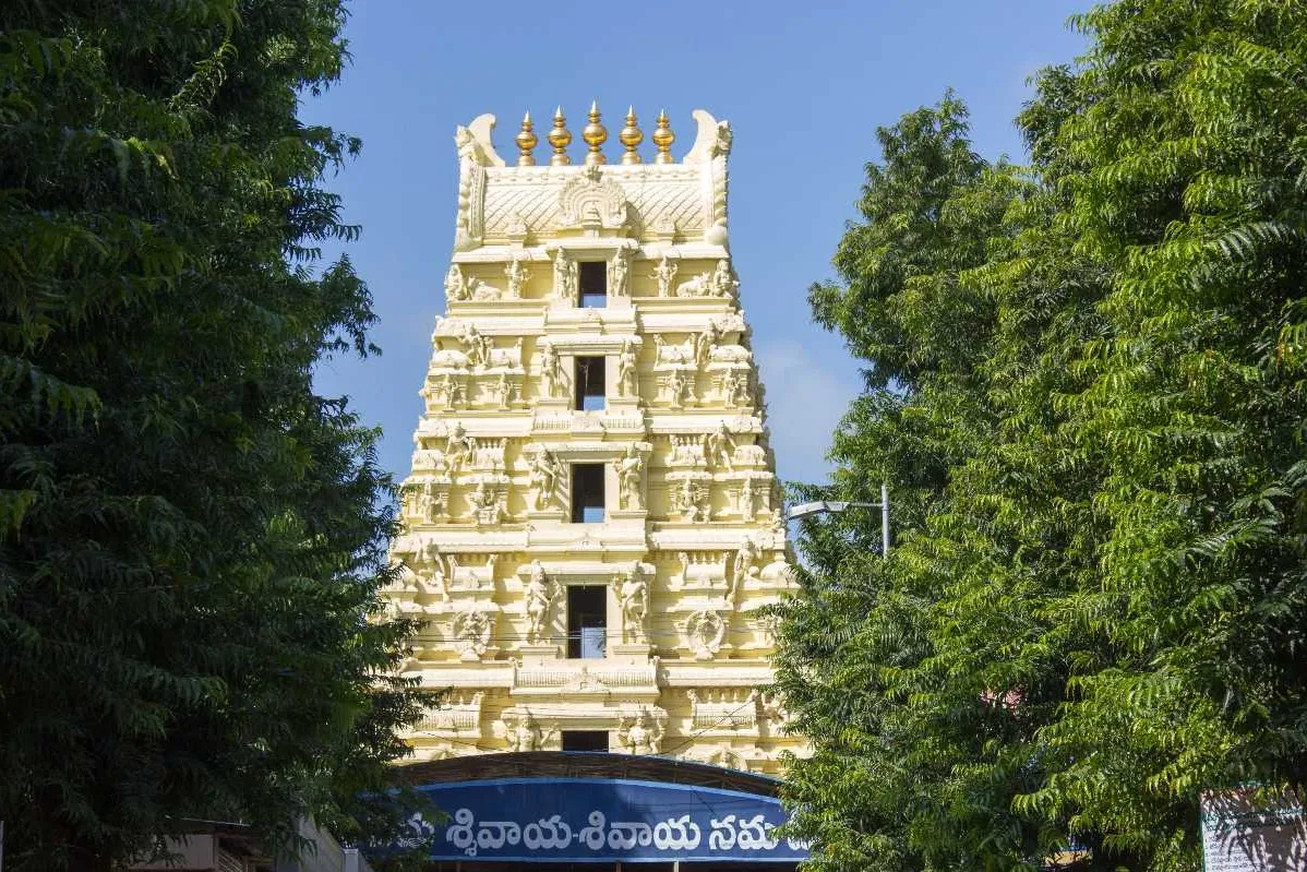 Tourist Places in Andhra Pradesh
Srisailam
Srisailam Tourism
Srisailam, a hill town in Kurnool d...