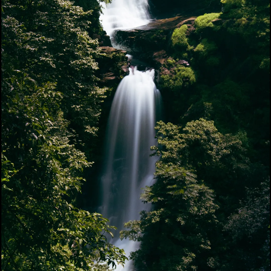 Tourist places in Maharashtra
Amboli
Amboli Tourism
Amboli lies in the Sahyadri hills in the Sin...