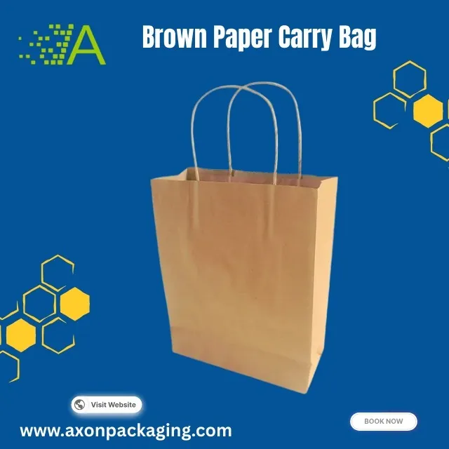 Brown Paper Carry Bag in Mumbai