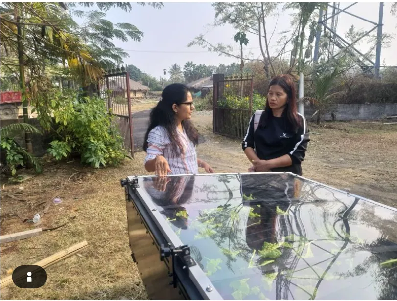 Solar Drying Machine in Parbhani
