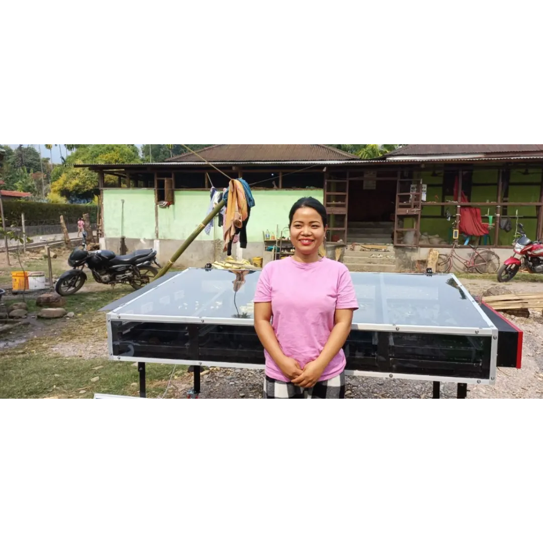 Solar Drying Machine for Apple