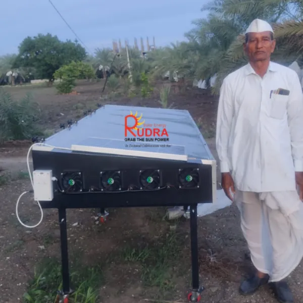Solar Drying Machine For Mango