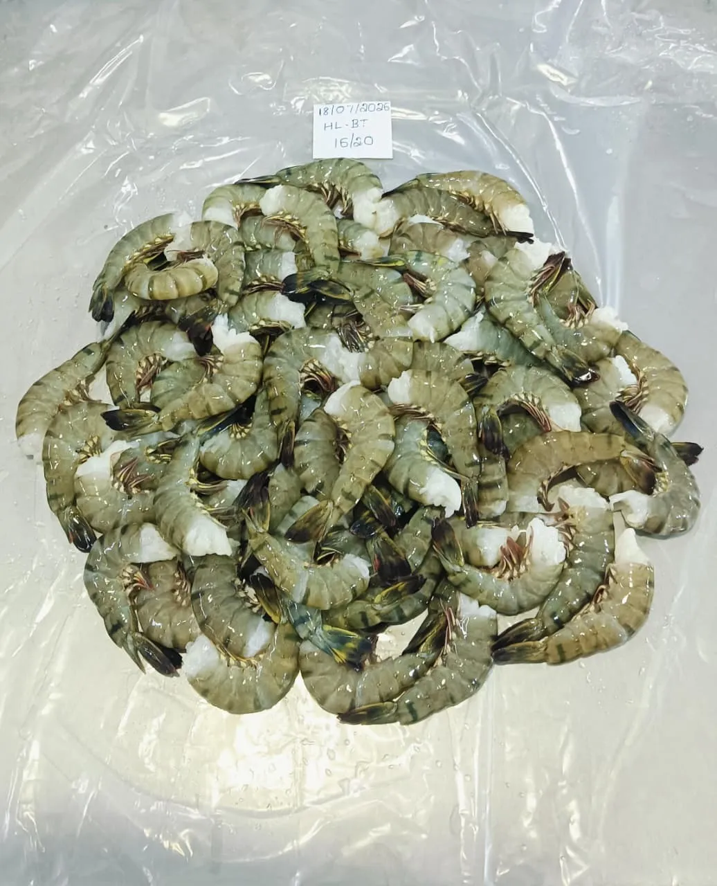 HEADLESS BLACK TIGER SHRIMPS/PRAWNS