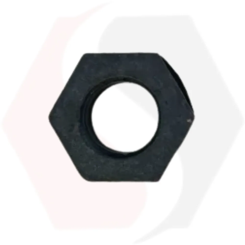 Forged Hex Nut Manufacturer and Supplier in Rajasthan