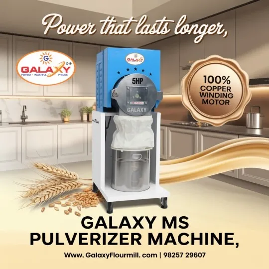Industrial Masala Processing Machine | Galaxy Food Machinery