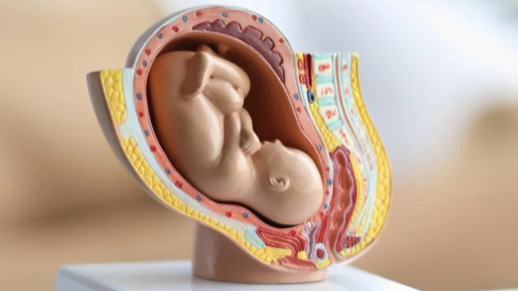 How to Choose the Best IVF Clinic in Tricity: Factors Every Couple Should Consider