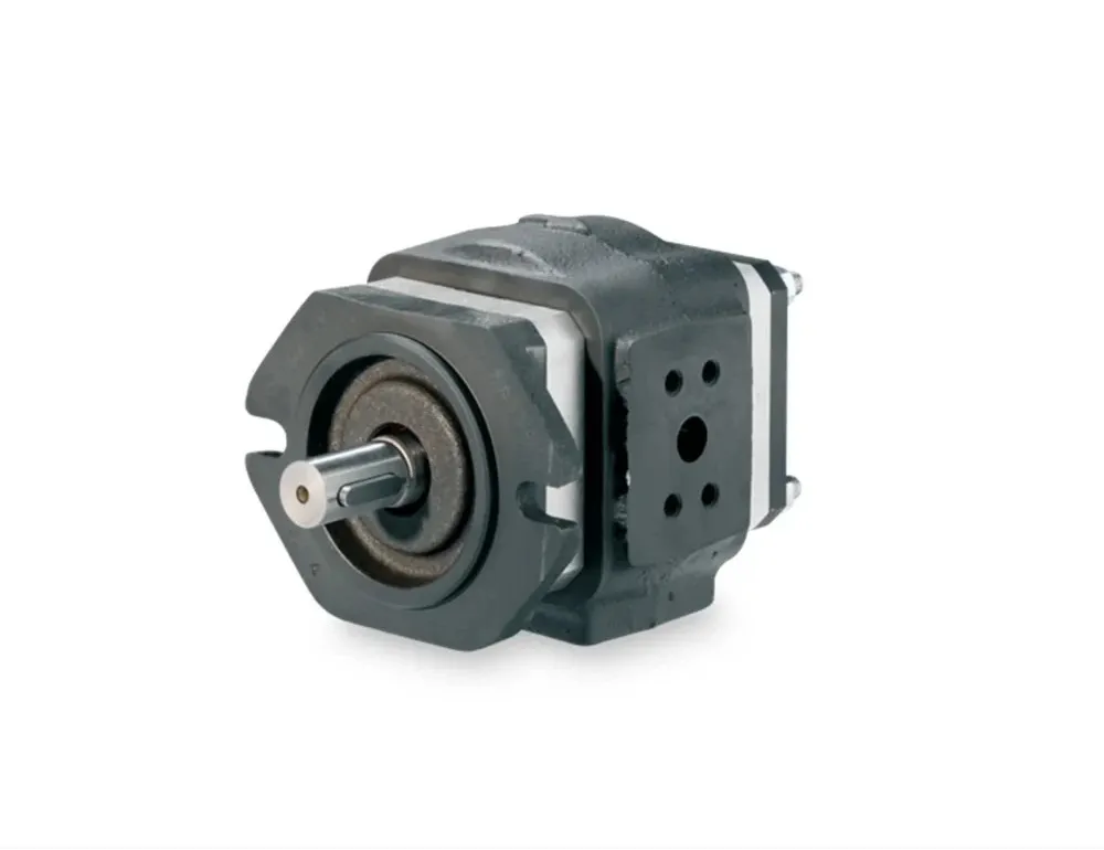 Rotary pumps and gear pumps