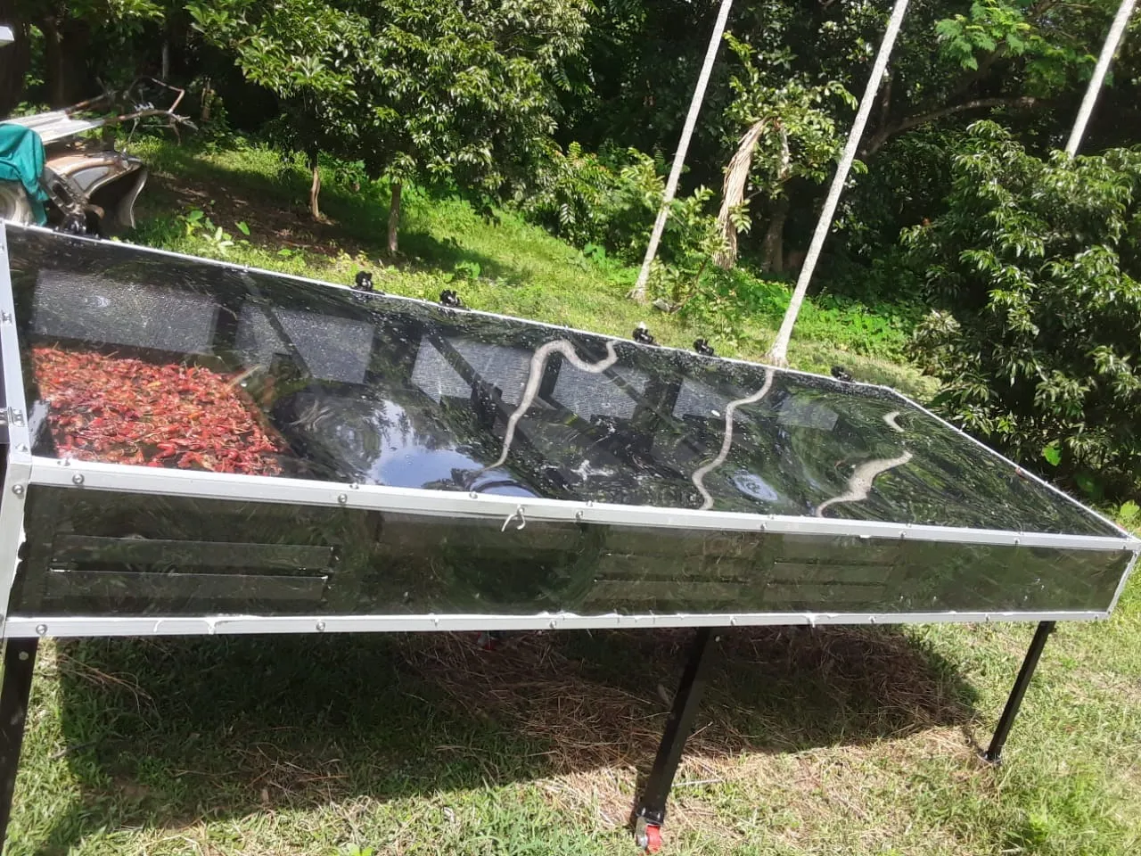 Solar Drying Machine In Gorakpur