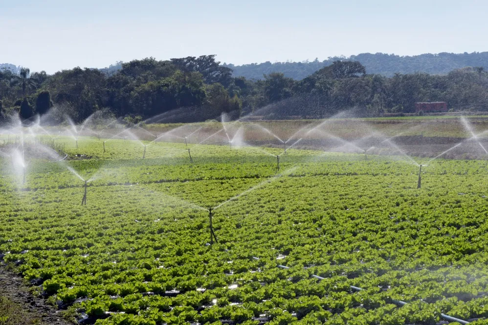 Why Modern Irrigation Systems Are Essential for Water-Efficient Landscaping Projects