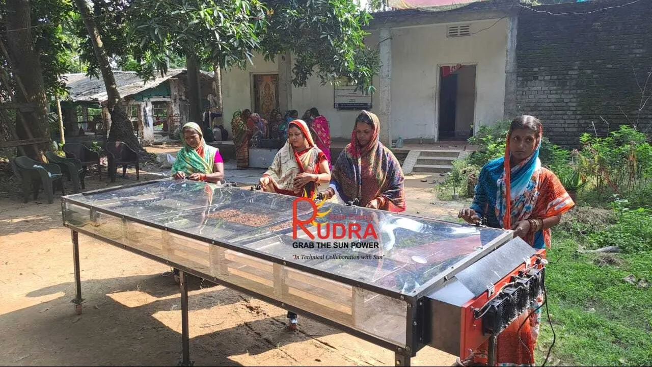 Solar Drying Machine In Amroha