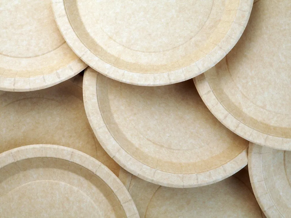 How to Choose the Right Paper Plate Raw Material Supplier in Pune for Better Product Quality