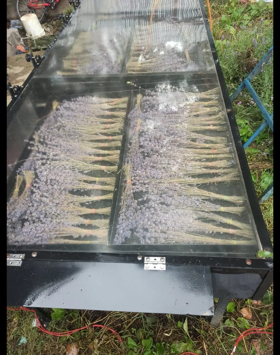 Commercial Solar Dryer in Mumbai Suburban | Solar Drying Solutions for Farmers & Food Processing