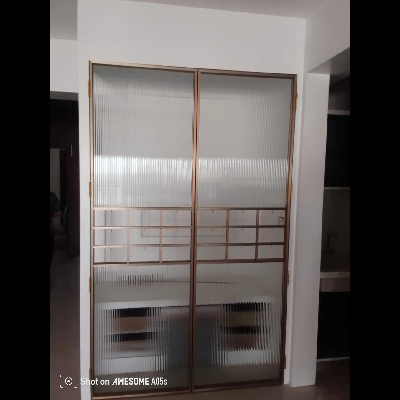 Slim Openable Door Vadodara